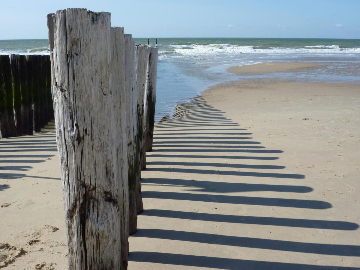 Vakantiehuis Domburg Do08 Met Sauna! Zewnętrze zdjęcie