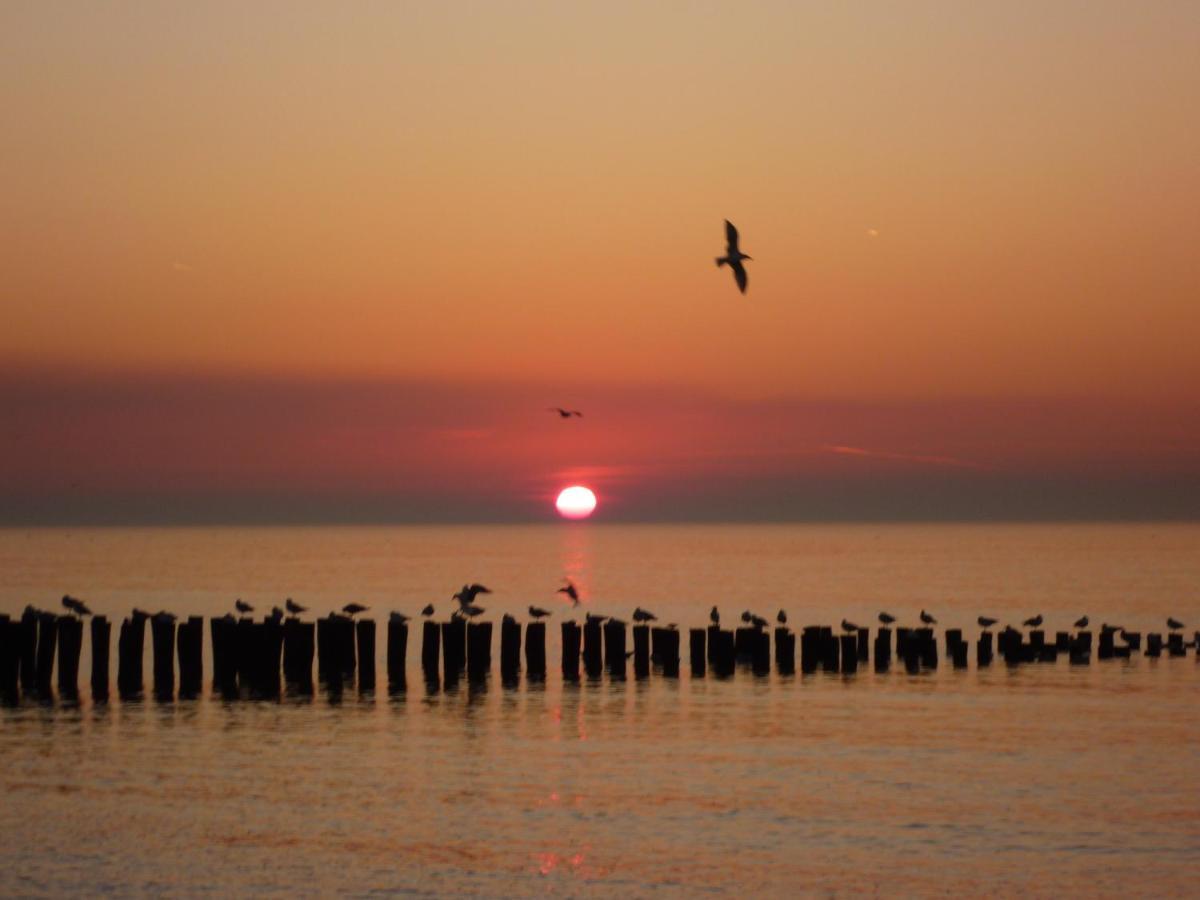 Vakantiehuis Domburg Do08 Met Sauna! Zewnętrze zdjęcie